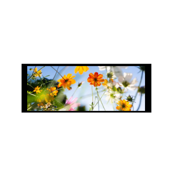 6,86 дюйма 480 × 1280 IPS TFT модуль
